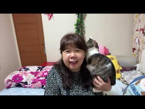 久しぶりの真夜中まったり雑談ライブ😊💕