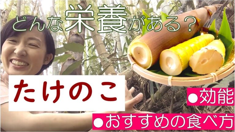 たけのこの栄養価・効能・おすすめの調理法を管理栄養士が解説
