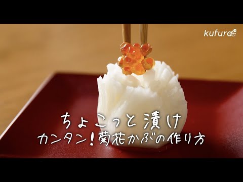 もむだけで完成！　忙しい 年末年始 でも スピーディーに作れる絶品 「 菊花かぶ 」の作り方【 ちょこっと漬け ♯9】｜kufura [クフラ]