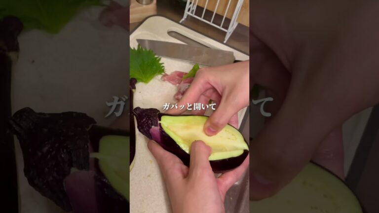 この夏、私を幸せにするナスレシピ🍆💜#ヘルシーレシピ #ナスレシピ#夏レシピ