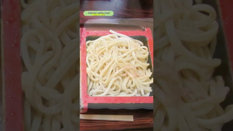 【岩手県一関市】青葉直利庵（大ざる、天もりの紹介）