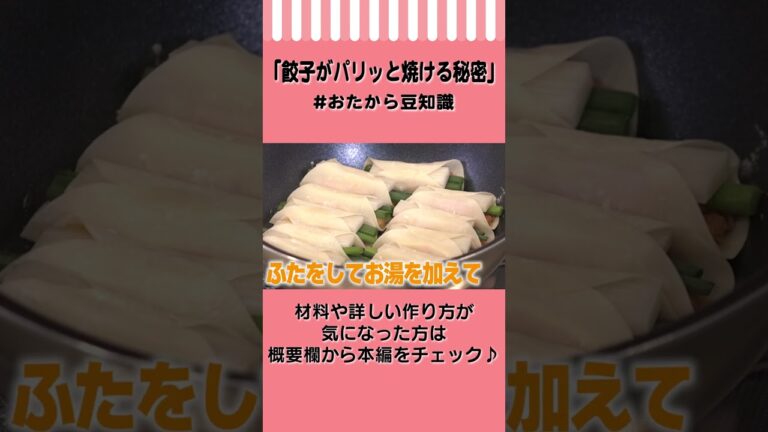【必見！】餃子がパリッと焼ける秘密　#Shorts #おたから豆知識