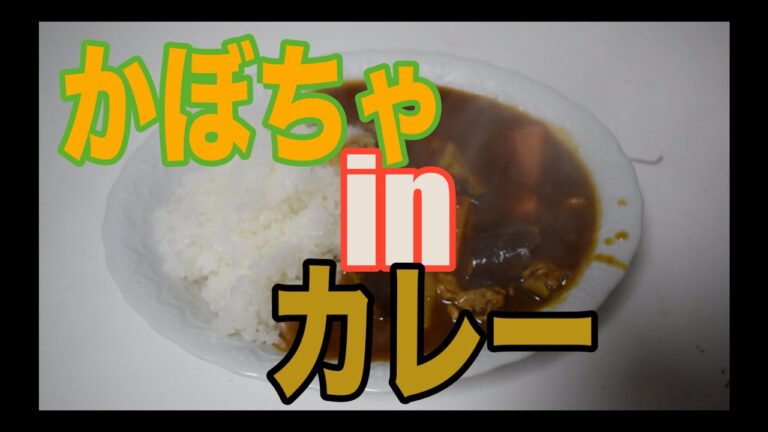 【初投稿】【お料理処たか】カレーにかぼちゃ！？作って食べたら美味だった。