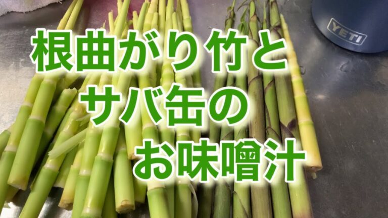 【根曲がり竹】根曲がり竹とサバ缶のお味噌汁をつくりました♪簡単お味噌汁#ねまがりだけ #簡単 #サバ缶 #主婦 #お味噌汁