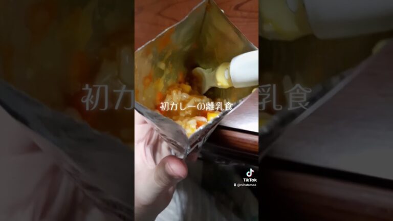 カレーの離乳食1歳　シンママ