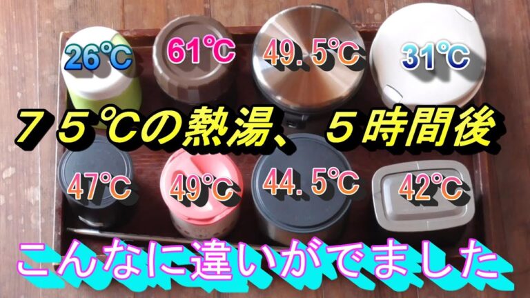 保温弁当　温かさ比べ