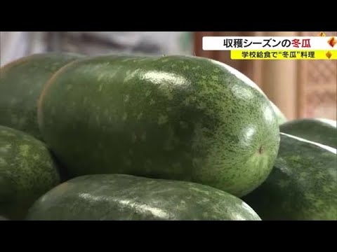 地元岡山でももっと食べて！”冬瓜の日”産地で学校給食に冬瓜【岡山・瀬戸内市】 (23/07/10 18:00)