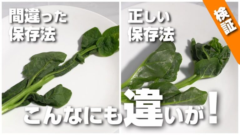 つるむらさきの保存方法が本当に効果があるのかを検証してみたら意外な結果に！