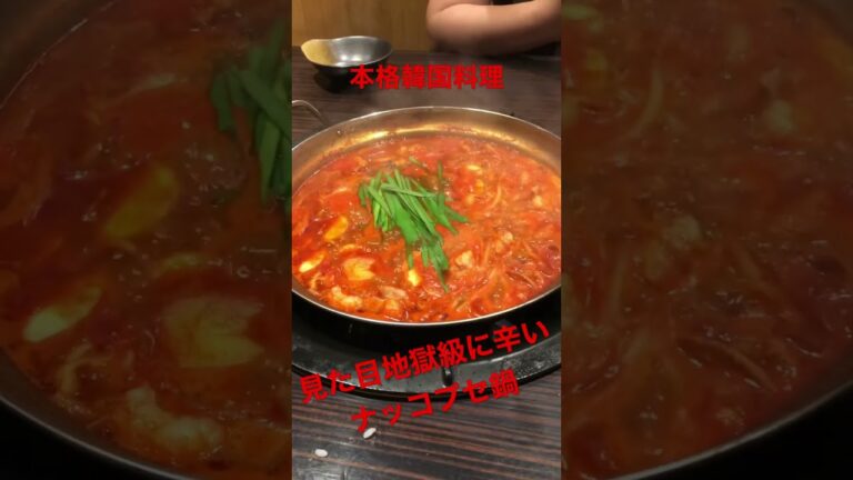 【最強】韓国料理　 激辛　旨辛鍋‼️ ナッコプセ鍋‼️ 京都韓国料理店　権　#shorts #激辛　#韓国