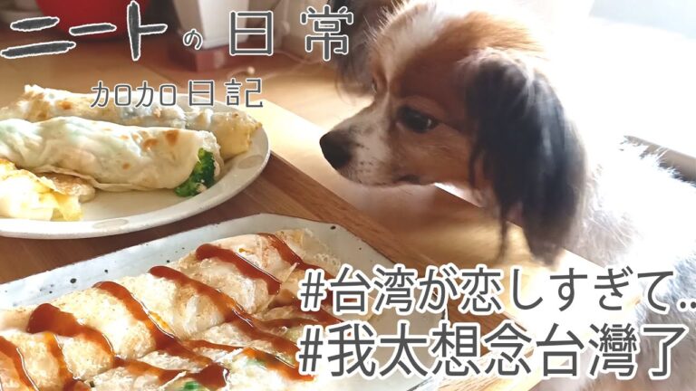 台湾定番朝ごはん蛋餅(ダンビン)作ってみたよ/我太想念台灣居然做了軟蛋餅