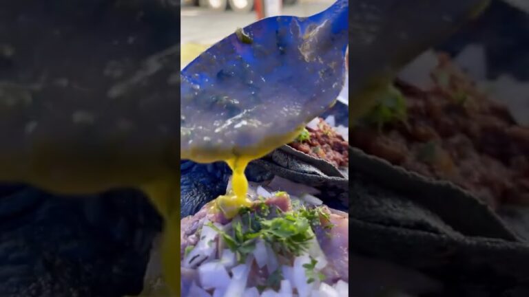 メキシコのタコス。バルバコアという独特な製法で煮た豚肉を乗せたタコスです。住宅街に土日限定で出してるお店などが美味しいです。#shorts #メキシコ #メキシコ料理 #タコス #バルバコア