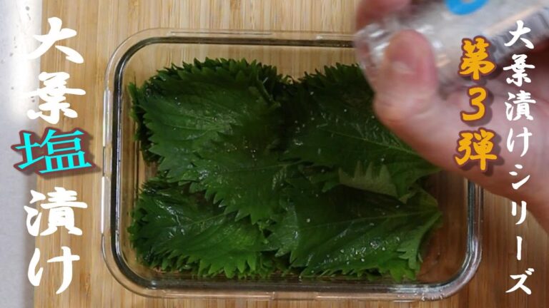 【３部立て　第３弾　大葉塩漬け】「仕込み１０分」 《ご飯泥棒　これだけで御飯がすすむ》　ファイナル‼