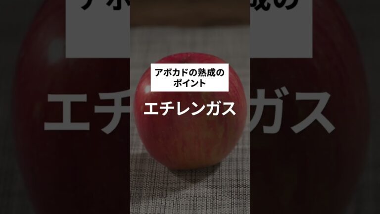 【アボカド】美味しいのはどっち？美味しくする方法&ディップの絶品レシピ！