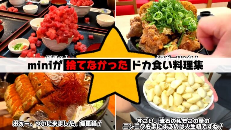 【安心して見れる】miniがドカ捨てしなかった料理集