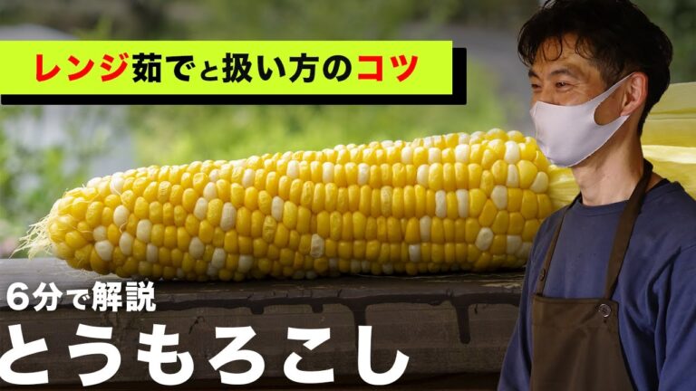 【とうもろこし完全解説】3分でできるレンジ茹での方法/家庭できるとうもろこしの天ぷら