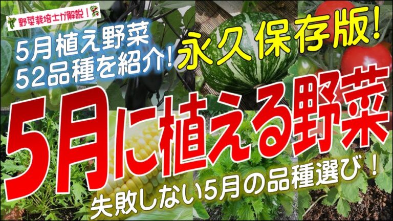 5月に植える野菜（52品種）永久保存版