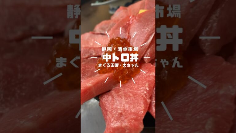 マグロかつ食べ放題！？静岡県・清水市場に潜入！！！