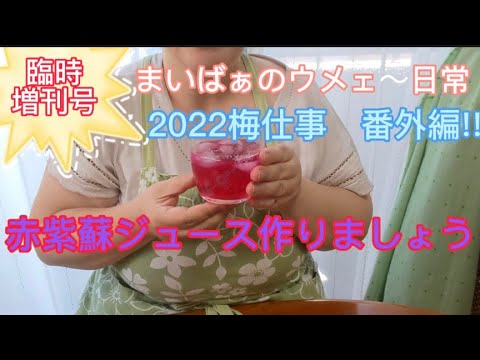 2022梅仕事　番外編!!　　赤シソジュースを作ってみましょう♥