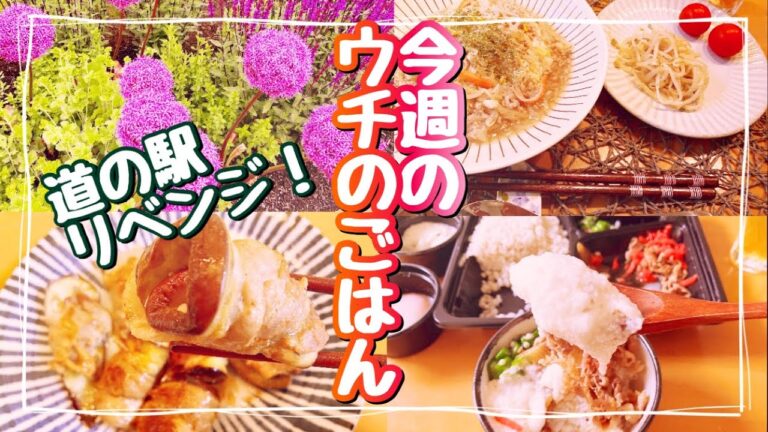 [ウチご飯vlog  旅リベンジ編④] もやしあんかけチャーハン。豚肉と茄子のくるくるバタポン／愛犬激怒！