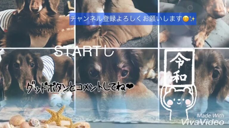 今日の晩御飯〜枝豆と塩昆布の混ぜご飯&肉野菜炒め2019年6月5日晩御飯〜❣️