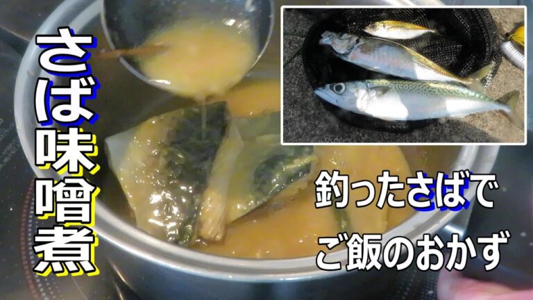 さば味噌煮   釣ったさばで作るさば味噌煮、白米との相性バツグン