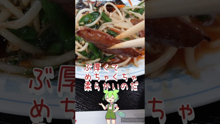 【究極レバニラ ニラレバ】これは絶品 ＃レバニラ ＃ニラレバ ＃町中華  ＃絶品グルメ ＃中国料理 ＃お粥も美味い ＃おすすめランチ ＃県道から曲がるの勇気いる ＃ずんだもん ＃花水木 ＃ハナミズキ