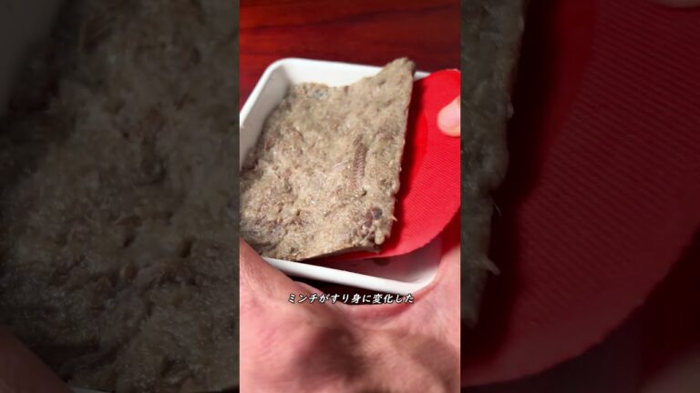 鰯からすり身を作ろう【ASMR】 #shorts
