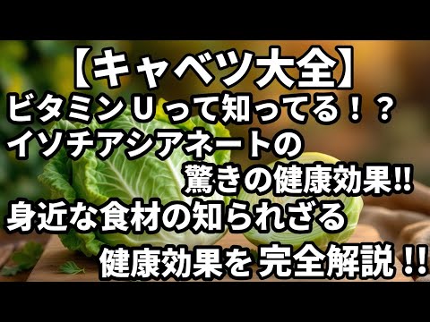🥬【キャベツ大全】栄養・効果・レシピ・選び方・保存法まで徹底解説！🥬
