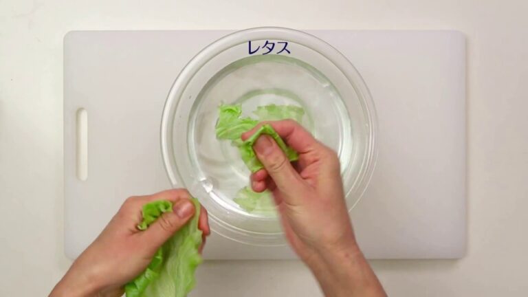 ボリュームたっぷり豚しゃぶサラダの作り方｜明治ブルガリアヨーグルト公式ヨーグルトレシピ