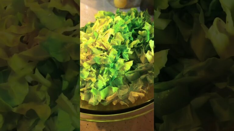 #ショート動画 #春キャベツ ナムル#ナムル  春キャベツ1/4千切り海苔好みで塩昆布10-グラムごま油大きい2塩少々胡麻大きい2鶏がスープの素少々　味調整してね