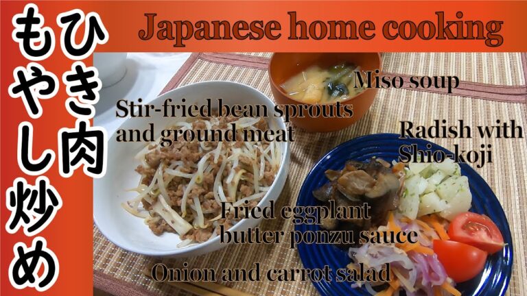 一番好きなモヤシ料理の夜ごはん～ひき肉もやし炒め【Japanese home cooking】Fried bean sprouts