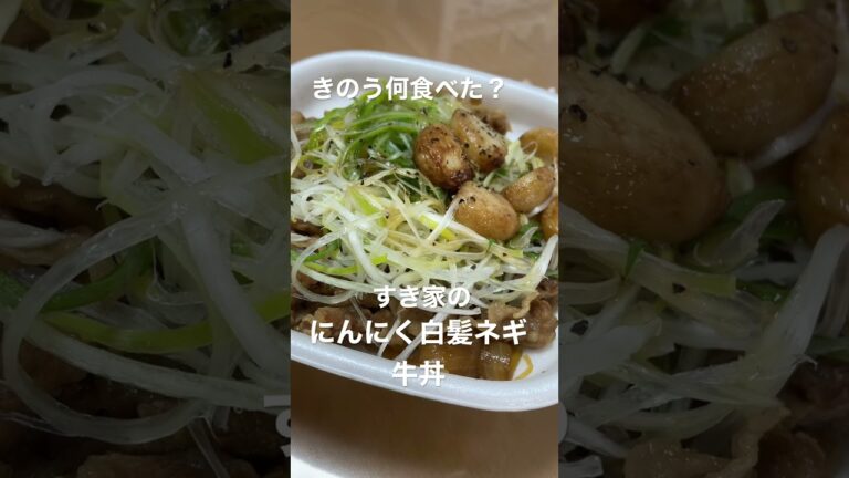 【昼ごはん】きのう何食べた/すき家のにんにく白髪ネギ牛丼