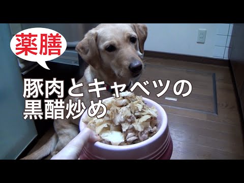犬ご飯レシピ：春キャベツと豚肉の黒酢炒め（薬膳）