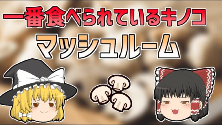 【ゆっくり解説】栄養素の塊！？マッシュルームの真実に迫る！保存方法やオススメレシピまでゆっくり解説！