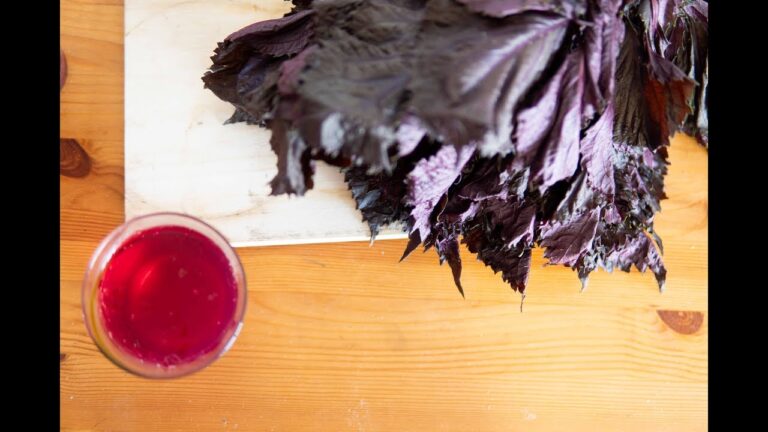 自製紫蘇汁 赤しそジュース