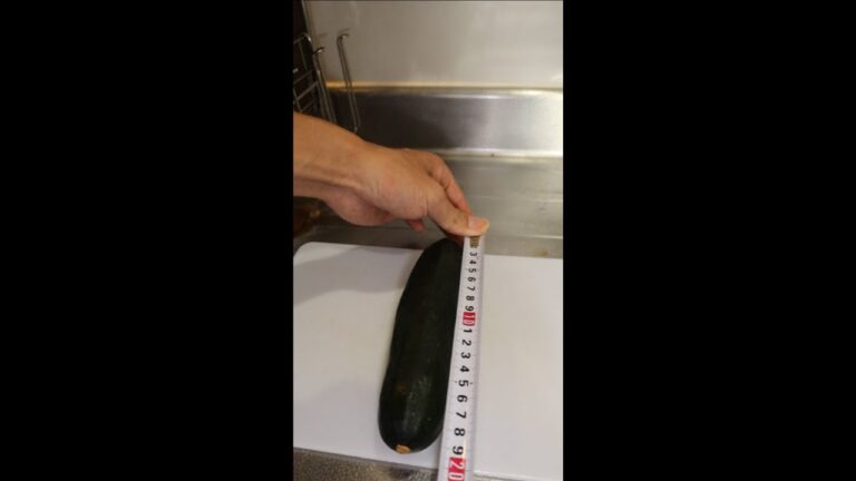 【痩せるレシピ】大きなズッキーニでお料理 #筋肉飯 #筋トレ #痩せる