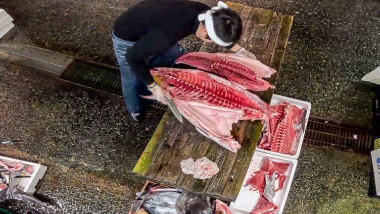 広島）総重量２２０キロの巨大マグロ解体！睡眠わずか３時間ぶっ倒れるまで働く寿司職人の正月が想像を絶するものだった。。