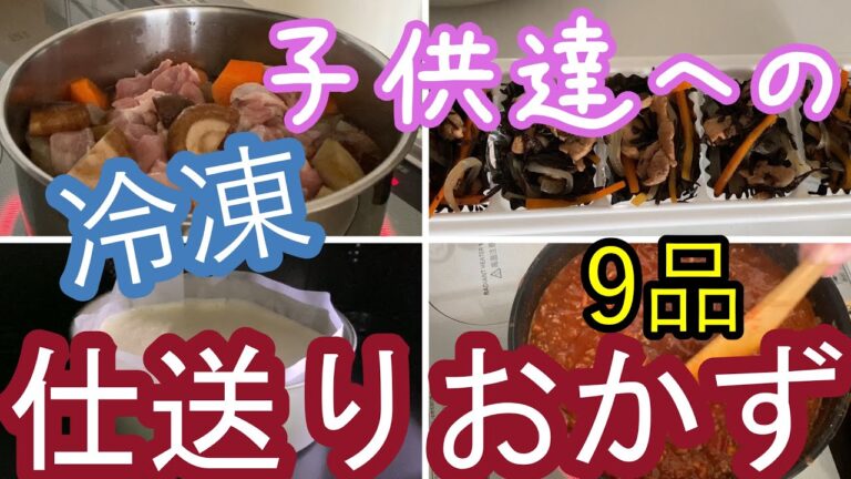 【仕送りおかず#2】子供達へ/9種類の冷凍おかず