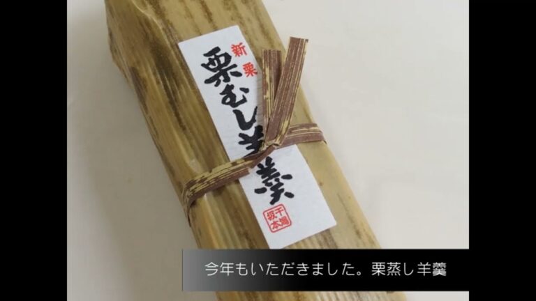 銚子のおいしい栗蒸し羊羹でお茶の時間