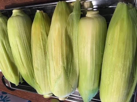 「トウモロコシ」正しいゆで方★意外と知らないヤバイ茹で方