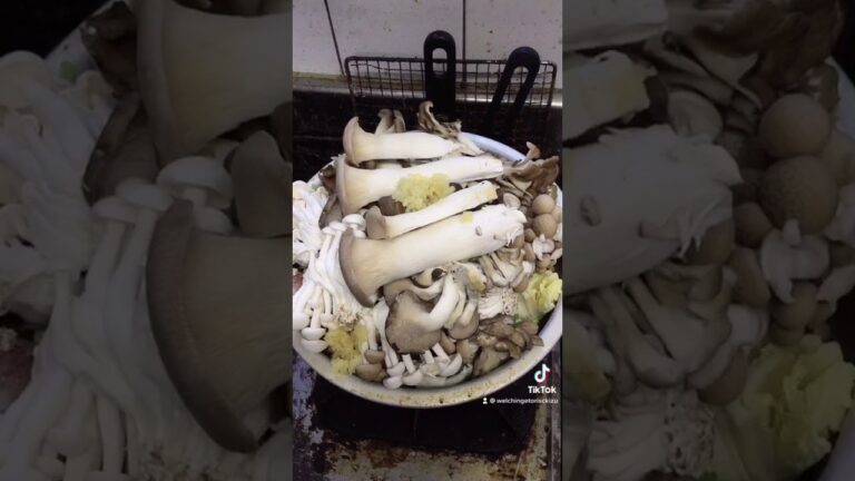 豚骨醤油ニンニクスープ鍋