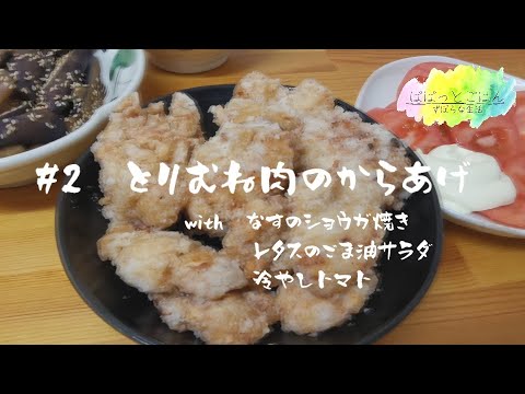 鶏むね肉のからあげ