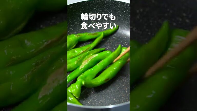 ご飯のお供に◎甘長とうがらしのじゃこ煮【今日のあと一品】【副菜レシピ】#shorts