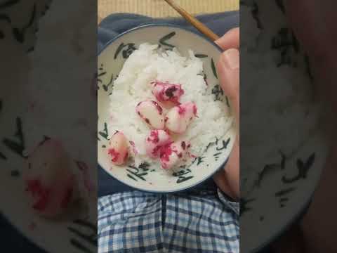 2021年8月28日  しそかつおにんにくが大好物です(〃´ω`〃)