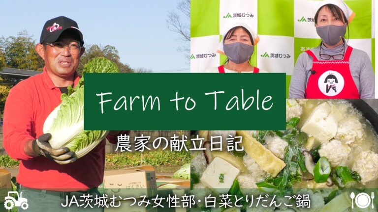 Farm to Table 農家の献立日記  「白菜とりだんご鍋 」JA茨城むつみ女性部