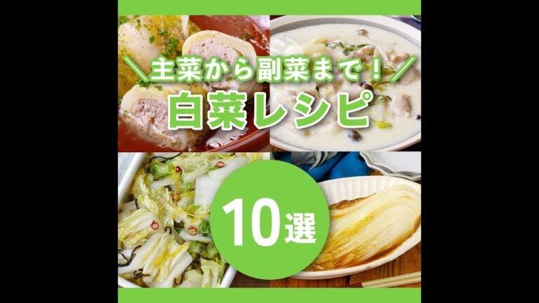 【白菜レシピ10選】シチューや餃子などのメインおかずから漬物など作り置きできるものまで！