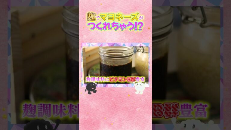 ゴーヤ レシピ 甘酒