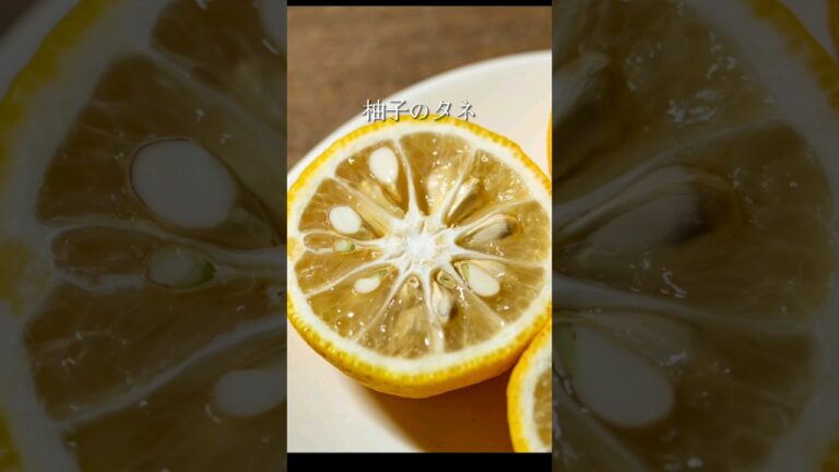 いつも捨ててた柚子の種、目から鱗の使い方 #料理 #作り方 #簡単レシピ #レシピ