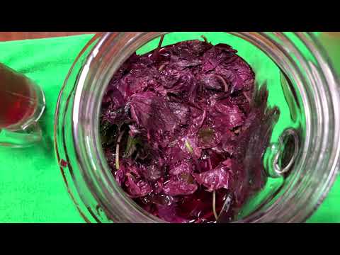 簡単紫蘇ジュースの作り方