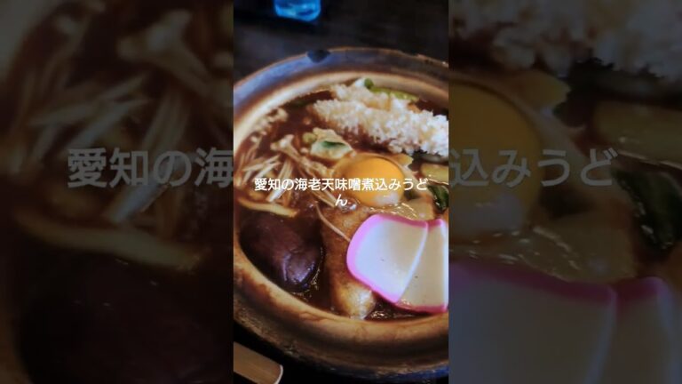 念願の愛知県の味噌煮込みうどん